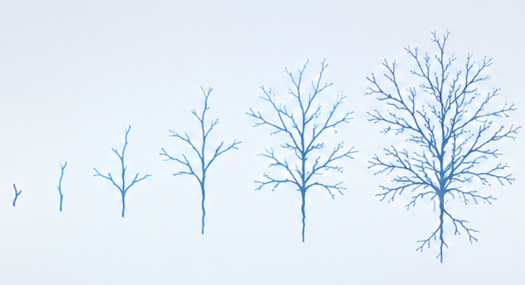 Progressive generation of a branching neuronal morphology