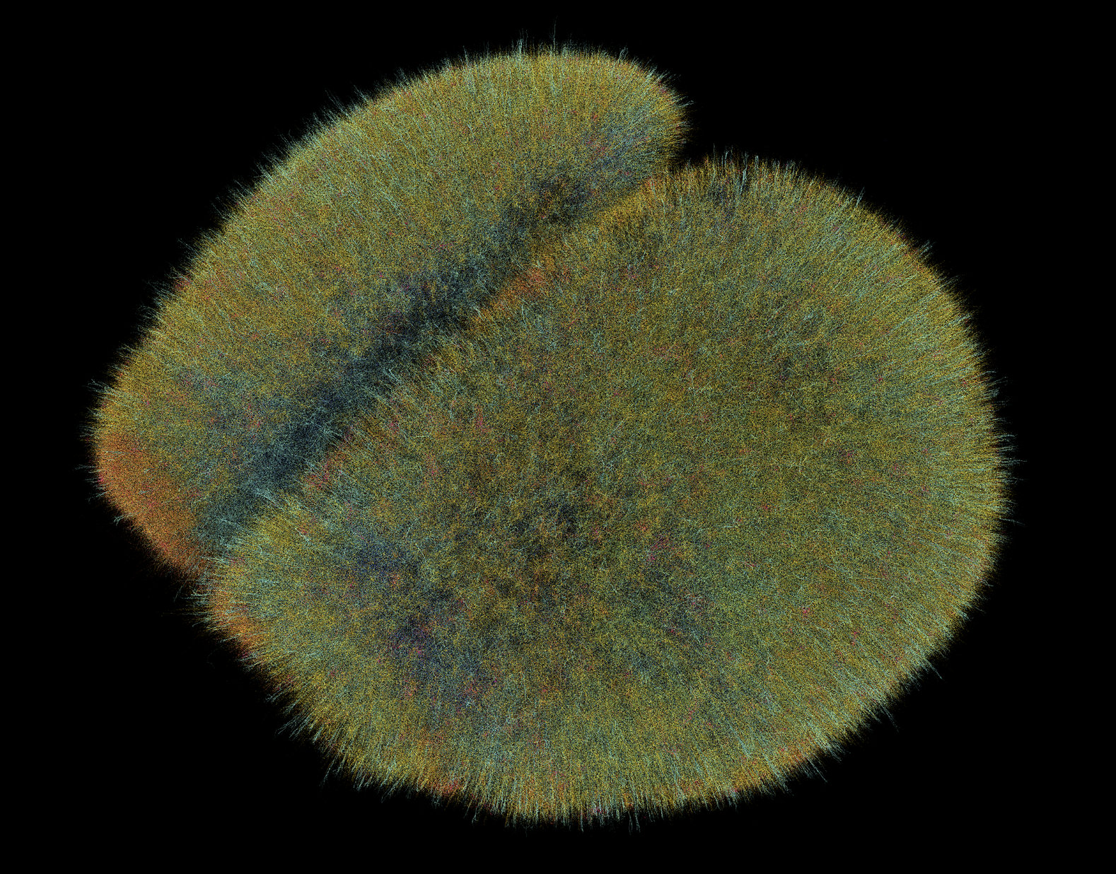 A computationally generated brain at single cell resolution.